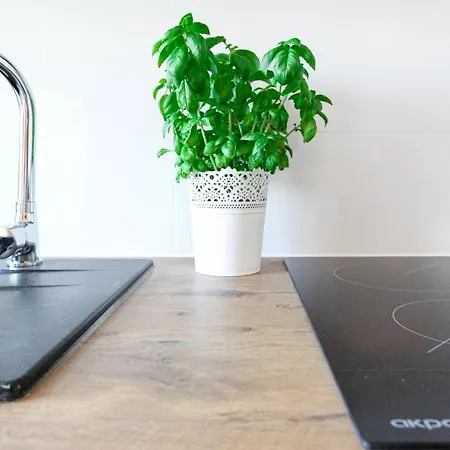 Sydonia - Unislawy Apartment *